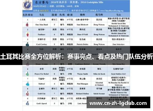 土耳其比赛全方位解析：赛事亮点、看点及热门队伍分析
