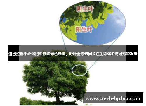 迪巴拉携手环保组织推动绿色未来，呼吁全球共同关注生态保护与可持续发展